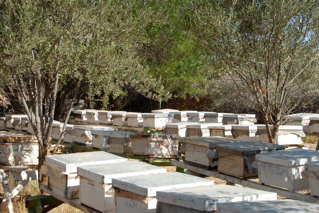 Hotel Aladarissa Ait Baha Ait Taksimt Exteriör bild